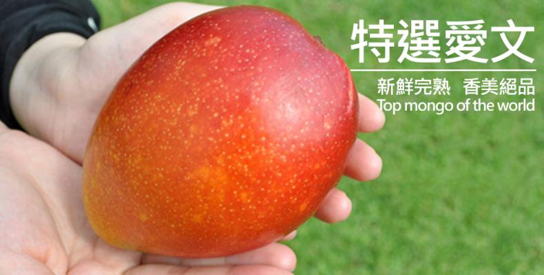 1693338873192102.jpg 63aab8f942507c1d66e0667f508918d.jpg