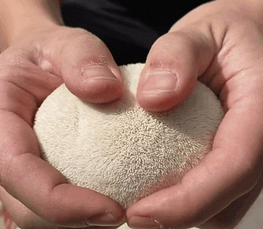 1713508623496021.gif 1.gif