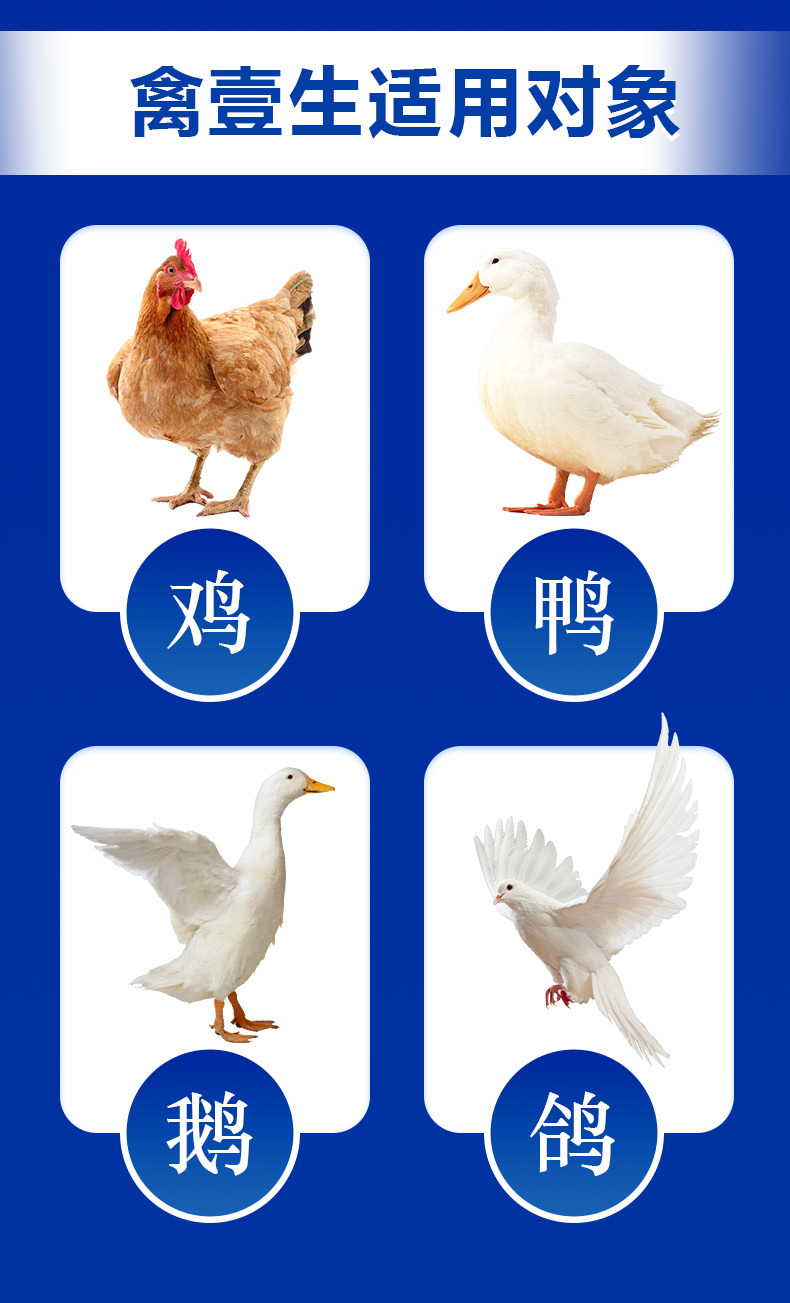 1716905631400376.jpg 8b17b118a92b4c179cb6182c15447b2c_20240521162059_460.jpg